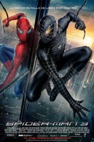 El hombre araña 3